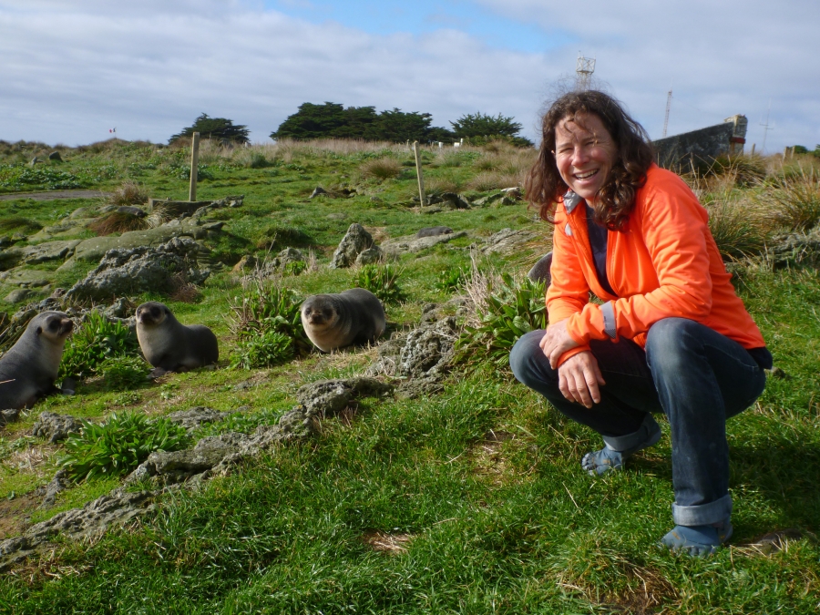 A woman in orange kneeling next to seals.